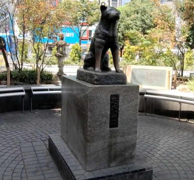 hachiko-statue-in-shibuya-1642140260-1.jpeg