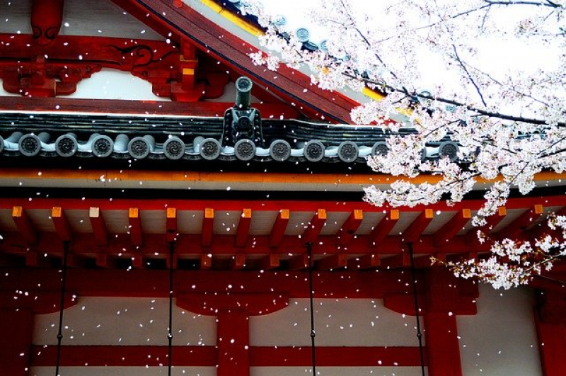 2022-japan-spring--sakura-season-forecast-1645080453-1.jpg