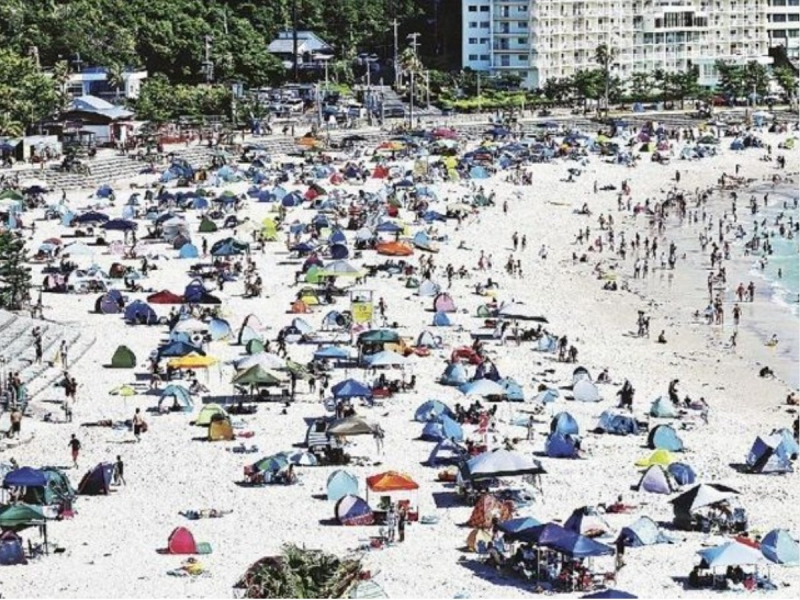 -the-first-sea-opening-in-honshu-for-the-first-time-in-6-years-on-may-3rd-1649645745-1.jpeg