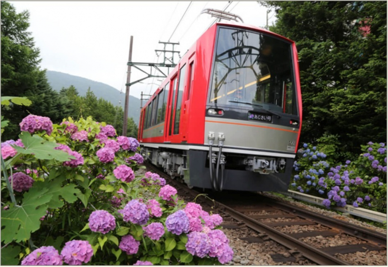 hakone-tozan-railway---spectacular-mountain-railway-line-1649917169-1.jpeg