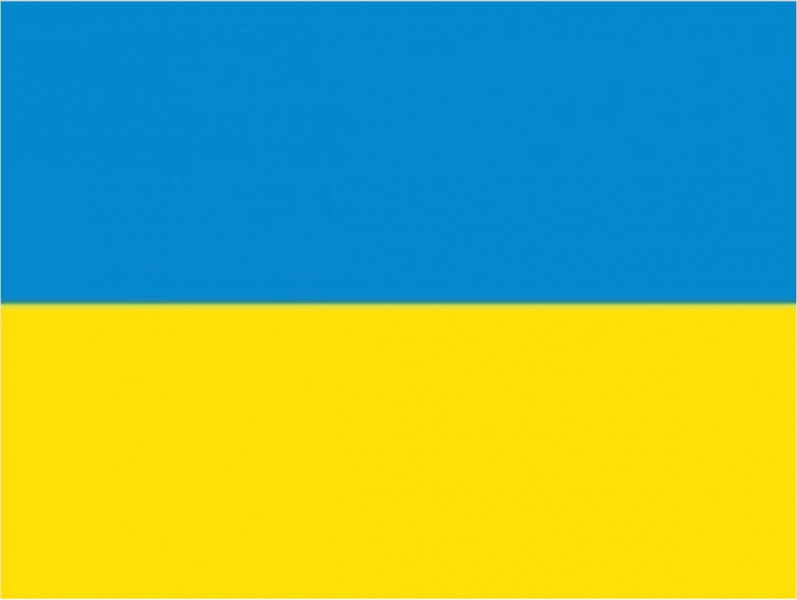 two-new-parents-and-children-evacuated-from-ukraine-due-to-a-military-invasion-by-russia-1650503865-1.jpeg
