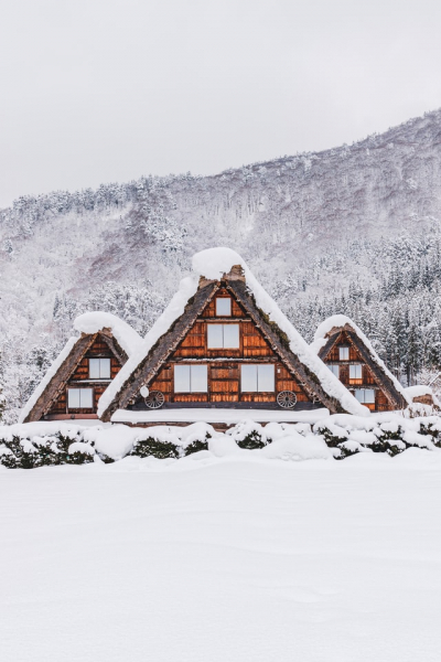 shirakawago---traditional-gassho-zukuri-farmhouses-1650943520-1.jpg