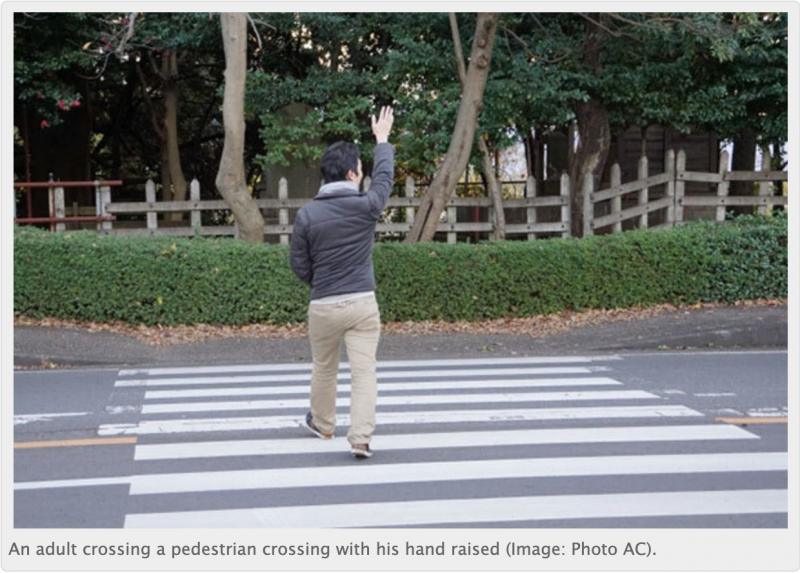 why-raise-your-hand-at-the-pedestrian-crossing-1652838398-1.jpeg