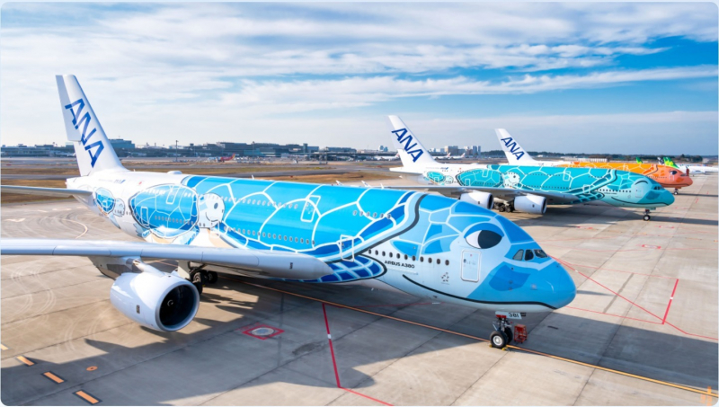 narita-airport-is-serious-about-turtle-countermeasures-airplane-vs-history-of-life-1652839245-1.jpeg