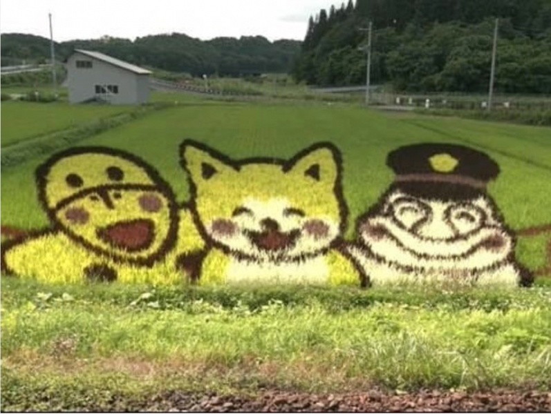 rice-field-art-akita-inu-dog-1658369513-1.jpeg