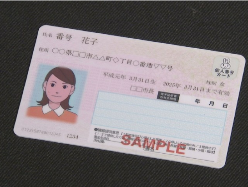 my-number-card-holds-everything-1665555183-1.png