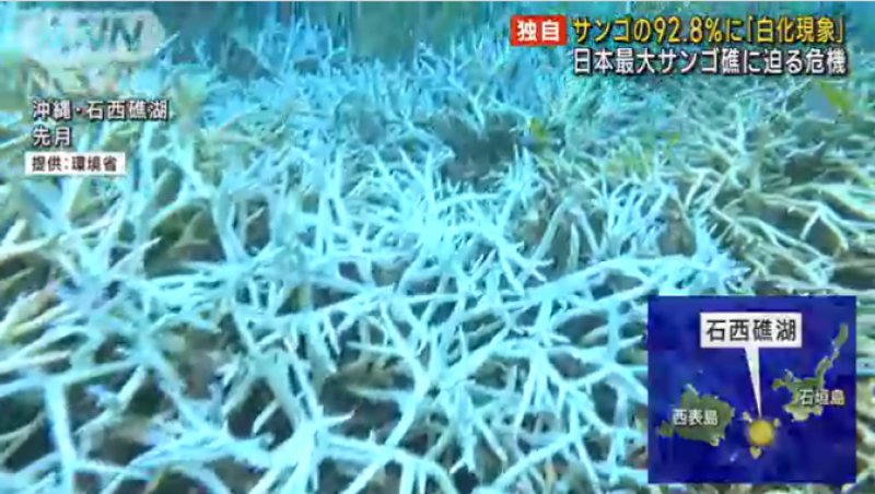 a-pandemic-in-the-oceans-1666575296-1.png