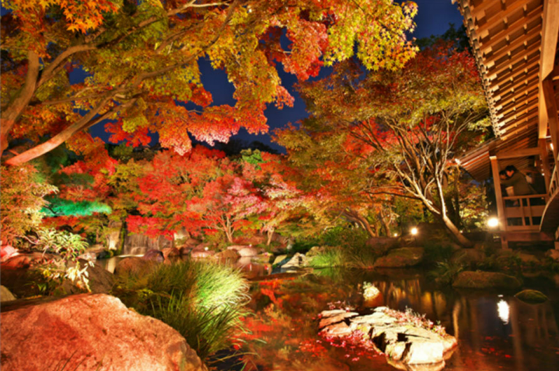 best-view-of-autumn-foliage-ranking-1666838907-1.png