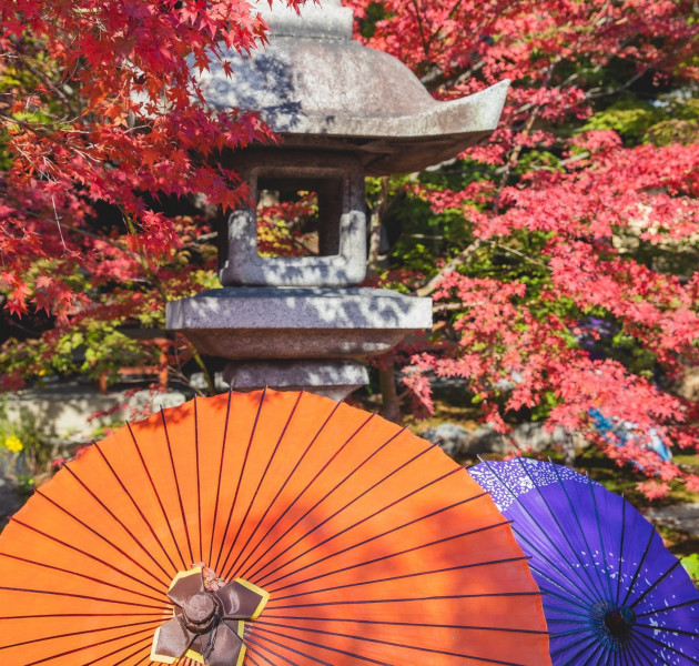 autumn-festivals-in-japan--1619575102-1.jpeg