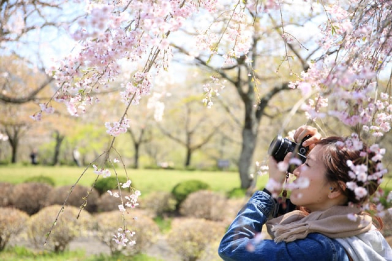 etiquette--basic-law-of-taking-photo-in-japan-1623724634-1.jpg