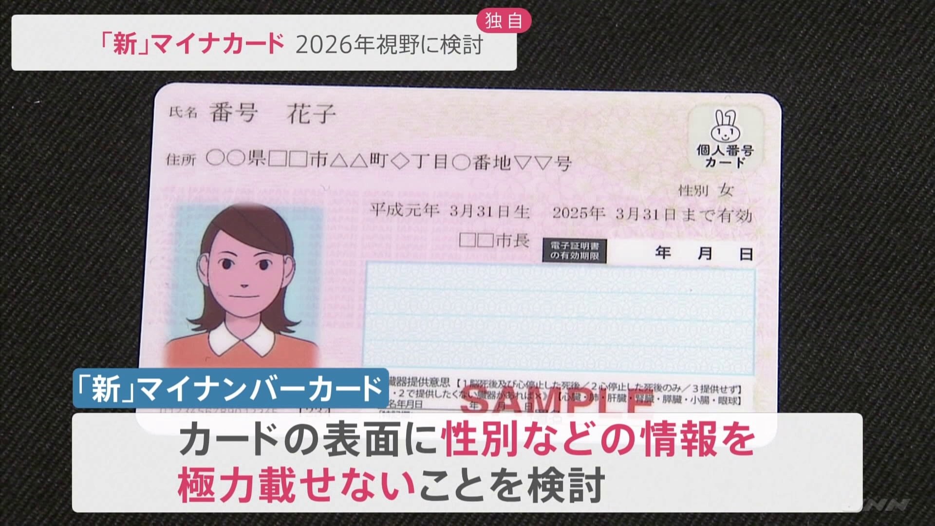 original-considering-a-new-minacard-government-with-a-view-to-2026-1676855398.jpg