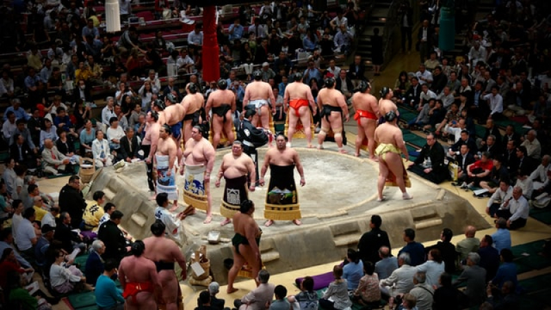 sumo---japanese-style-of-wrestling-1623742460-1.jpg
