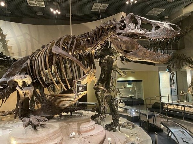 national-science-museum-to-raise-100-million-yen-due-to-lack-of-funds-1691465892.jpg