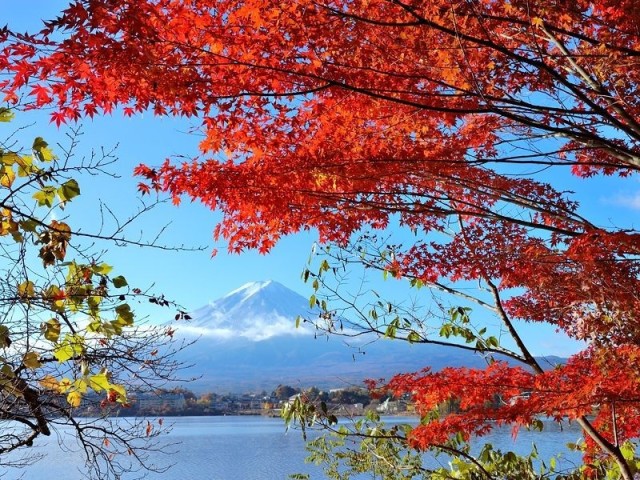 autumn-leaves-viewing-in-kanto-summary-of-recommended-autumn-foliage-spots-1695959763.jpg