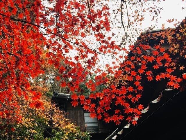 i-want-to-go-this-fall-5-recommended-travel-destinations-for-solo-and-girls-trips-domestic-travel-1696469857.jpg