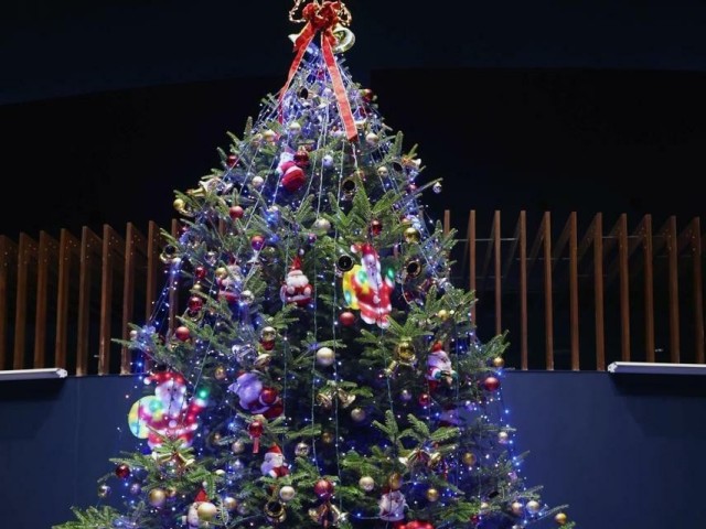gyogyo-2000-sparkling-light-bulbs-a-mesmerizing-sea-a-huge-christmas-tree-that-surprises-even-the-fish-appears-at-marine-pier-nihonkai-1701735452.jpg