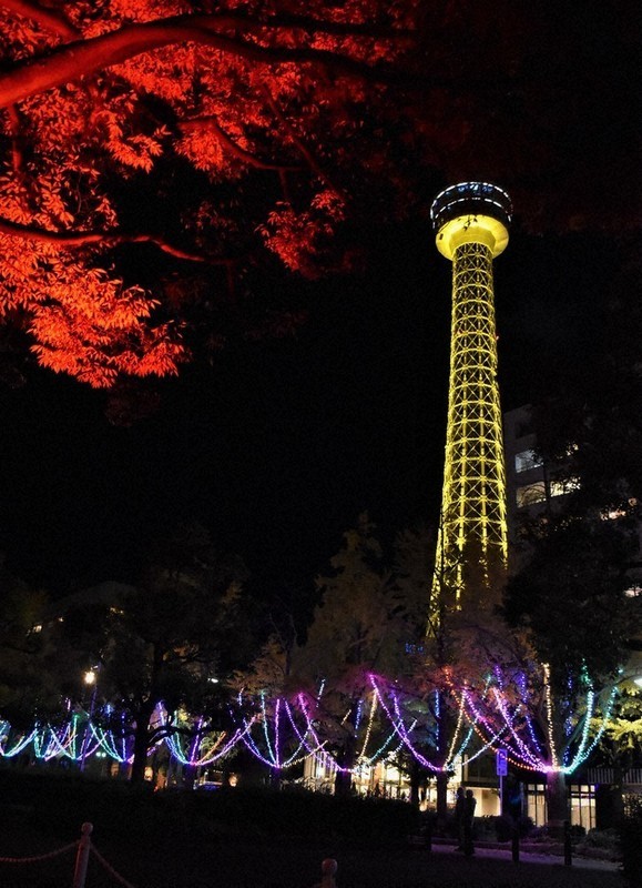 light-production-illuminating-the-night-sky-yokohamayamashita-park-areatokyo-1702256191.jpg