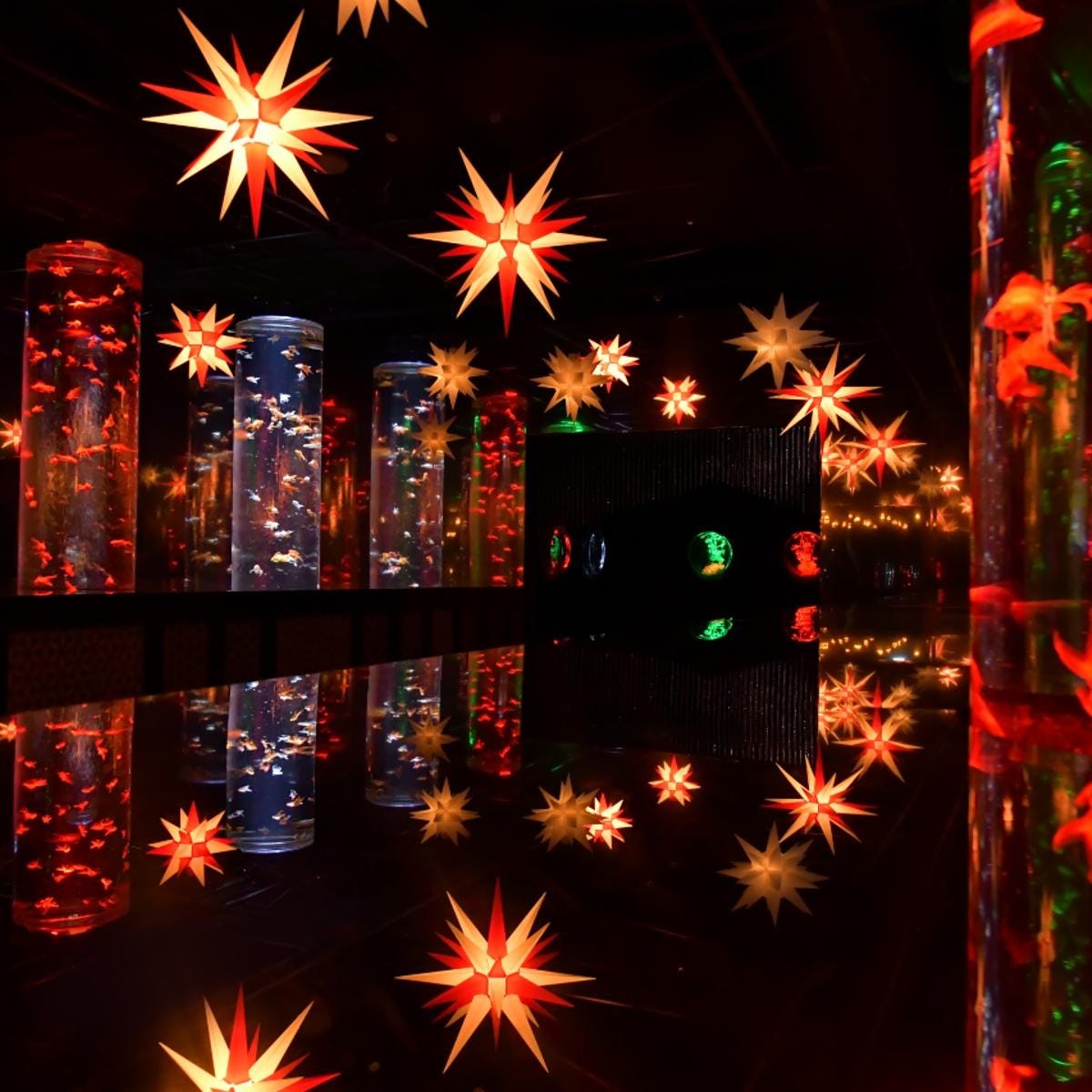 be-enchanted-by-the-winter-scenery-created-by-goldfish-starry-christmas-in-ginza-held-at-art-aquarium-museum-ginza-1702427092.jpg