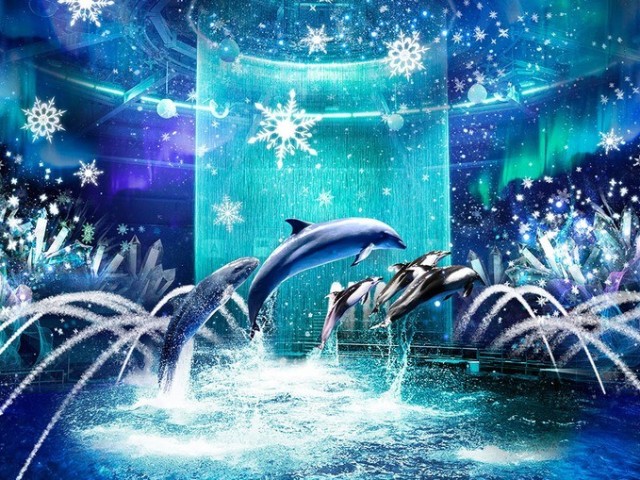 held-the-very-popular-winter-limited-event-naked-snow-aquarium-every-year-1706059974.jpg