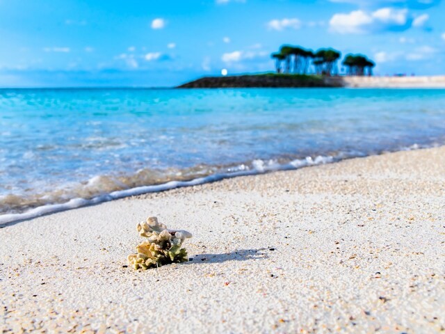 ranking-of-the-most-fun-prefectures-i-visited-on-my-trip-2nd-place-okinawa-prefecture-1st-place-1709513142.jpg