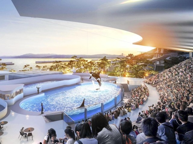 kobe-suma-sea-world-opens-on-june-1st-fares-up-to-3700-yen-over-60000-yen-per-person-hotel-dolphin-viewing-pool-1710722404.jpg