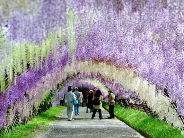 i-want-to-go-out-to-golden-week-domestic-tourist-spots-with-spectacular-views-1711325842.jpg