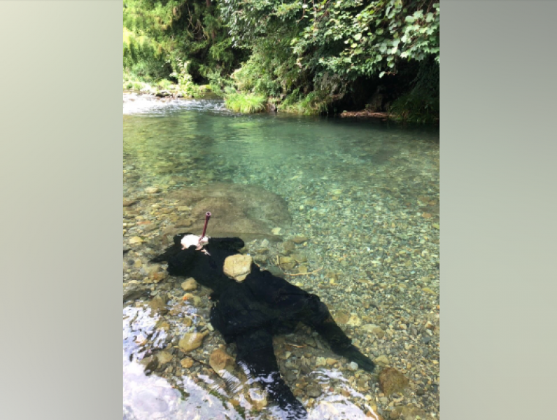 japanese-ninjas-suitonnojutsu-technique-became-a-hot-topic-in-the-please-submit-your-idea-of-cool-japan-contest-1720748020-1.png