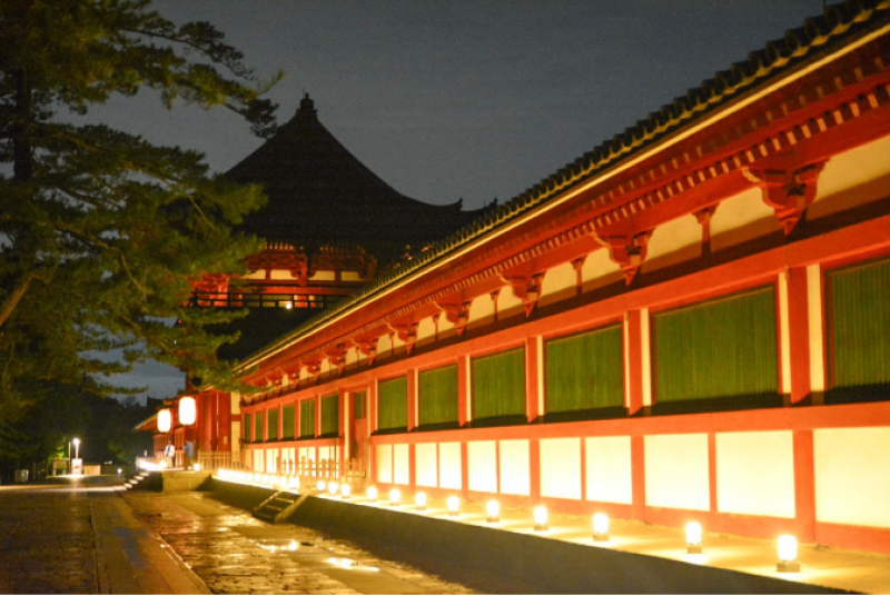 light-up-promenade-nara-is-a-summer-event-that-illuminates-the-entire-nara-park-area-1721785477-1.png