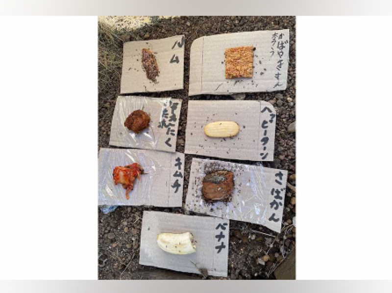 japanese-elementary-school-students-experiment-to-observe-ant-behavior-causes-a-huge-outcry-on-sns-1724033105-1.png