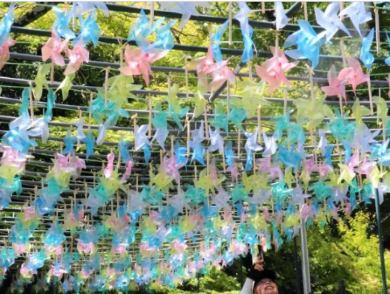 colorful-kazaguruma-at-kashima-jingu-shrine-adds-cool-summer-color-1724117349-1.png