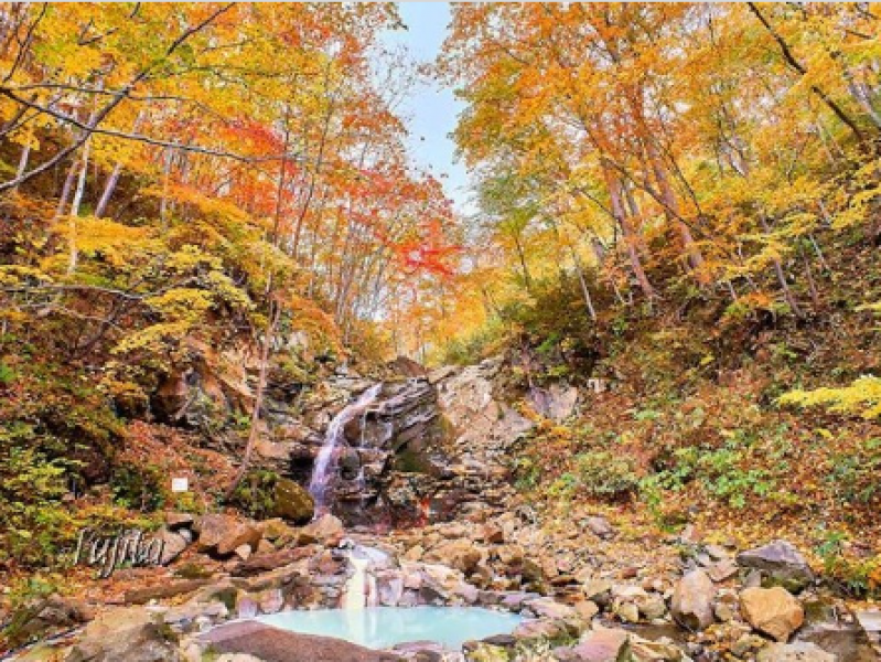 experience-japans-most-spectacular-view-at-chiyonoyu-amiwari-onsen-iwate-1724117534-1.png