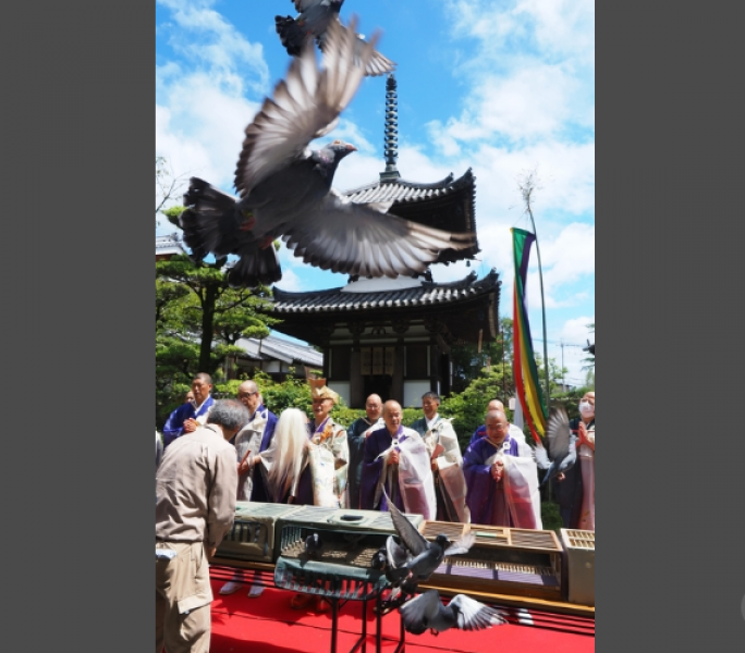 hotoke-nigashi-buddhist-memorial-service-at-yoshida-temple-nara-praying-for-the-liberation-of-living-things-and-the-sanctity-of-life-1725239436-1.png