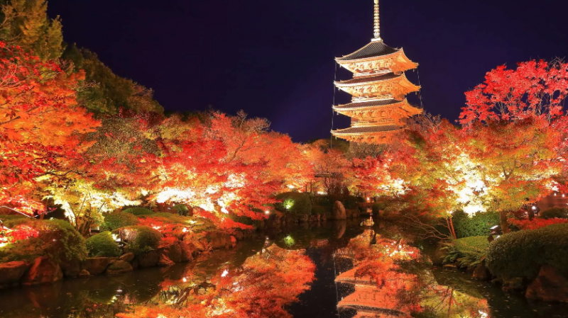 autumn-leaves-viewing-a-japanese-autumn-pleasure-and-its-appeal-1725326723-1.png