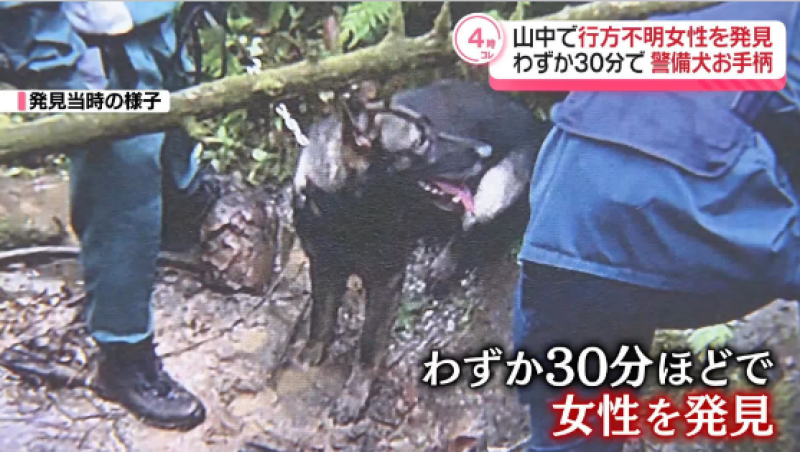metropolitan-police-department-security-dog-receives-award-in-japan-for-finding-woman-with-dementia-1725494964-1.png