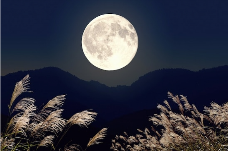 japanese-culture-the-origin-of-otsukimi-and-the-fifteenth-thirteenth-and-tenth-nights-of-2024-1725844606-1.png