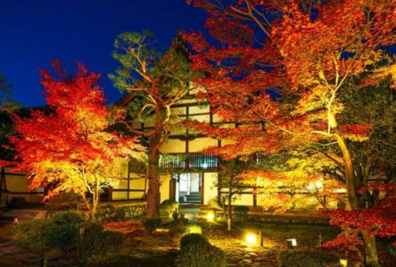 japans-oldest-temple-rikao-in-to-hold-special-nighttime-viewing-1726011661-1.png