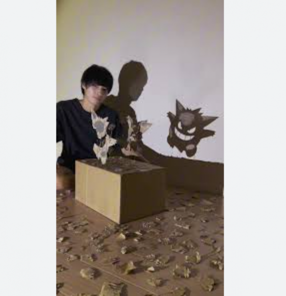 official-pokmon-cardboard-shadow-art-gets-attention-views-surpass-152-million-1726097726-1.png