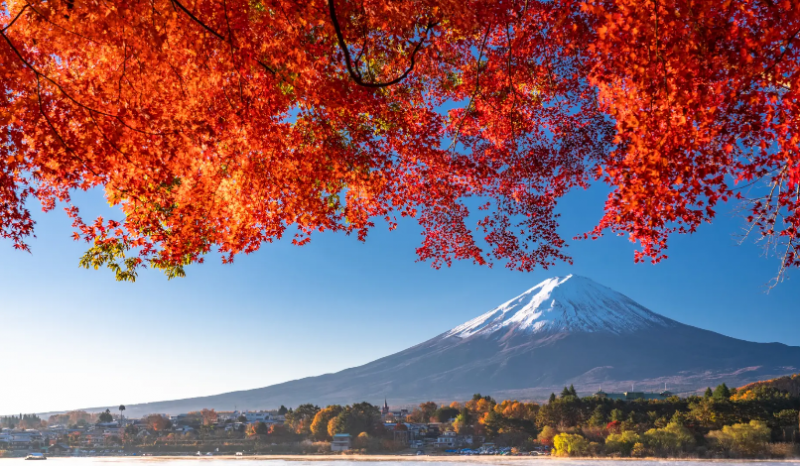 you-will-enjoy-it-more-if-you-know-tidbits-of-knowledge-about-autumn-in-japan-1727125496-1.png