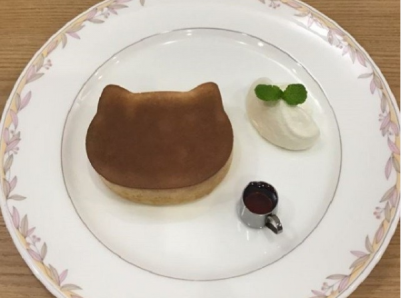 the-19th-cat-festival-in-yushima-tokyo-a-must-see-local-event-for-cat-lovers-1727211678-1.png