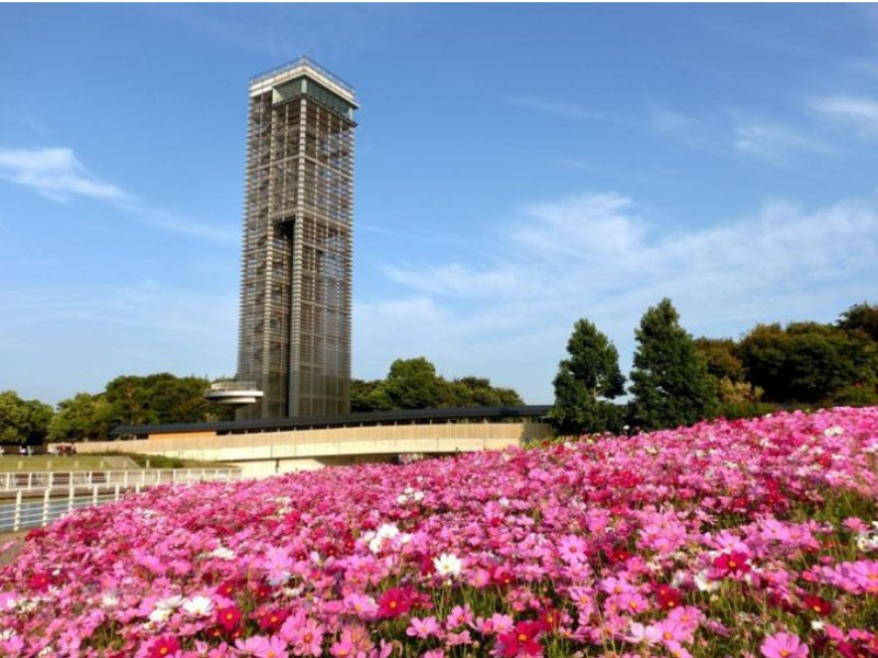 -japans-lake-hamanako-garden-park-autumn-and-winter-attractions-1727902534-1.png