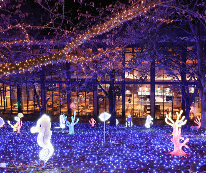 lake-sagami-illumilion-japans-largest-festival-of-light-and-san-x-characters-1728246915-1.png