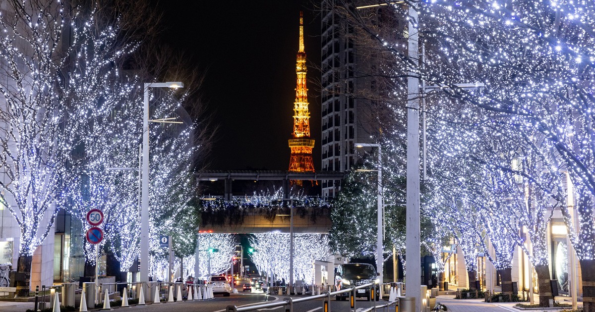 roppongi-hills-2024-illumination-keyakizaka-is-a-world-of-silver-66-plaza-is-a-world-of-light-inspired-by-a-bouquet-of-flowers-1728950390.jpg