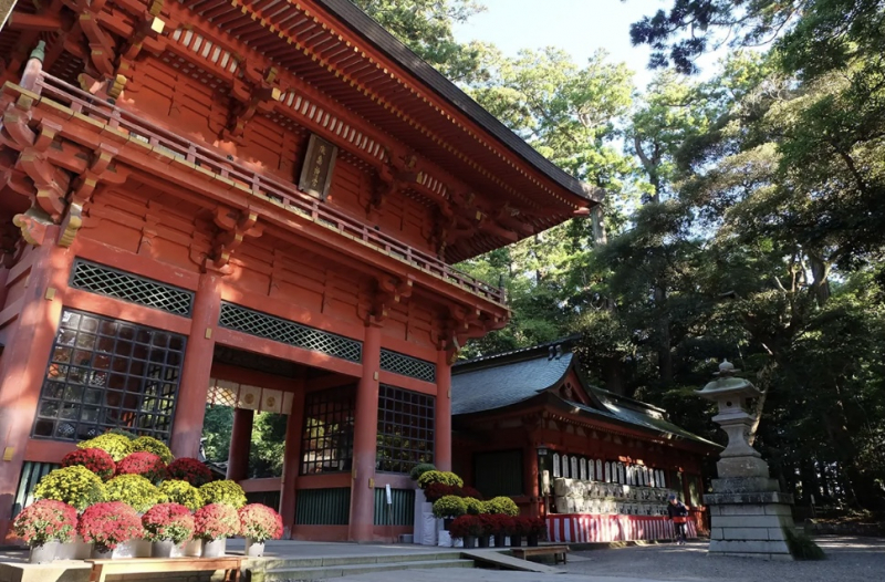 japans-gori-yaku-culture-a-journey-to-fulfill-your-wishes-1735072464-1.jpeg