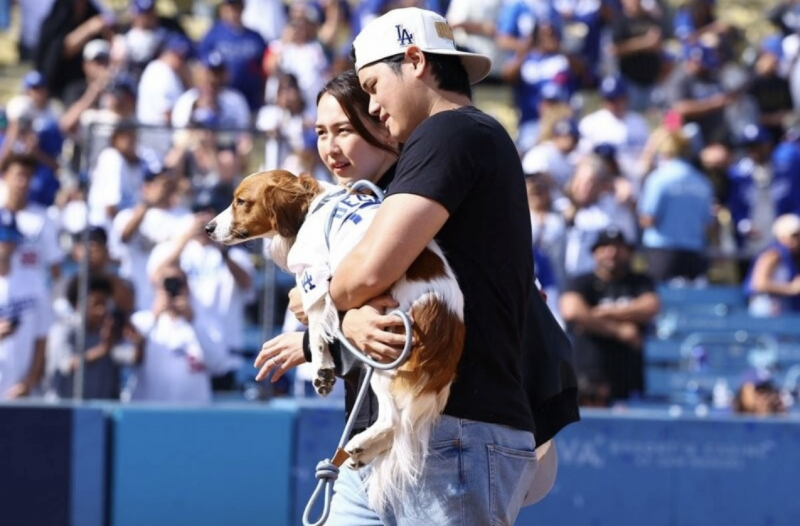 japanese-star-athlete-shohei-ohtani-hopes-to-promote-a-rare-dog-breed-through-his-beloved-pet-deco-pin-1735073096-1.jpeg