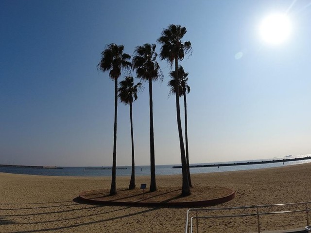 suma-coast-that-can-be-enjoyed-even-in-winter-superb-view-spots-that-shine-with-a-pleasant-sea-breeze-best-kobe-1738119616.jpg