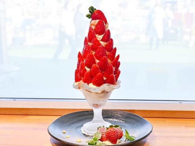 about-30-tablets-giant-strawberry-parfait-at-nara-roadside-station-every-day-full-response-1738635320.jpg