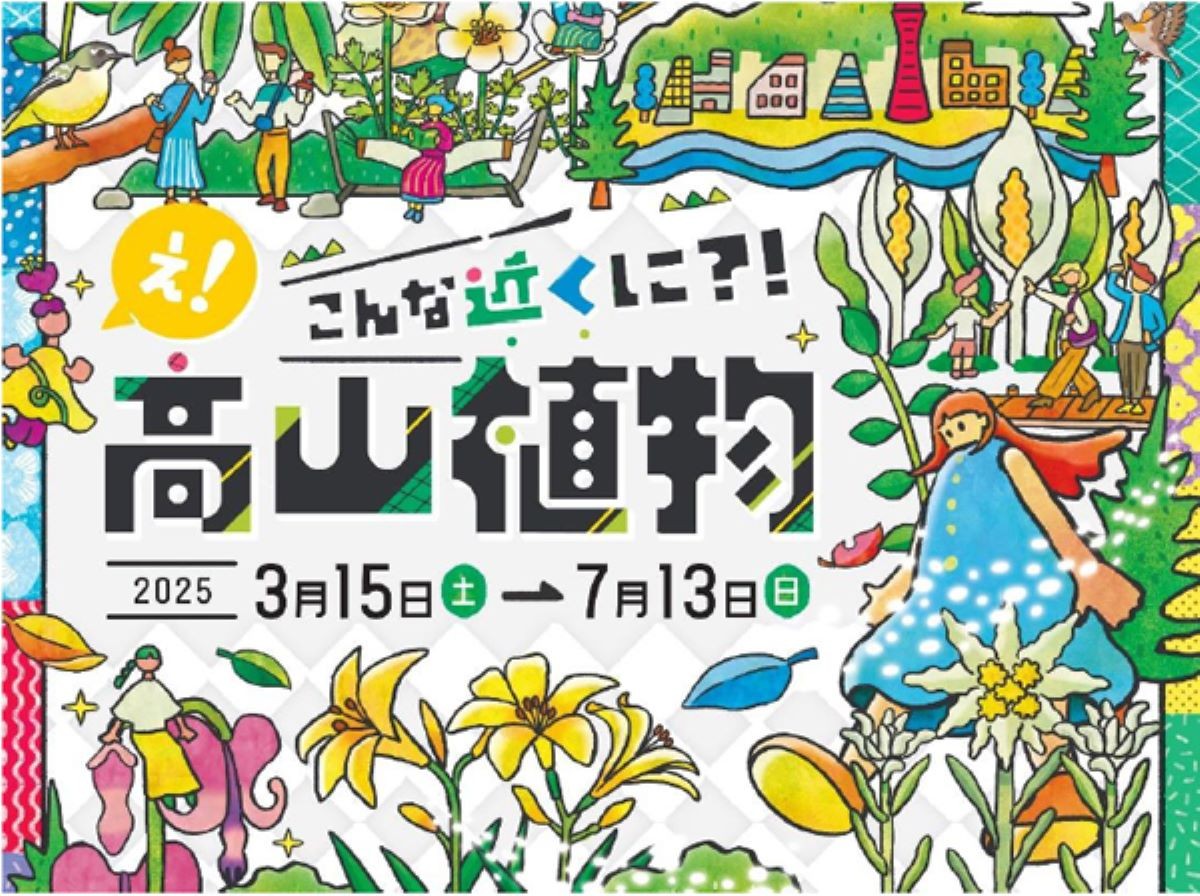what-so-close-alpine-plants-exhibition-will-be-held-at-the-rokko-alpine-botanical-garden-in-early-spring-chance-to-see-the-flowers-from-the-highlands-1739756828.jpg