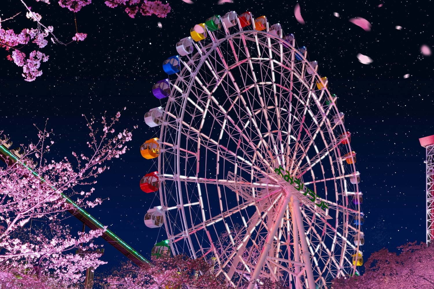 yomiuri-land-night-cherry-blossom-jewelmination-sakura-color-new-ferris-wheel-with-sparkling-pink-cherry-blossom-trees-1740097379.jpg