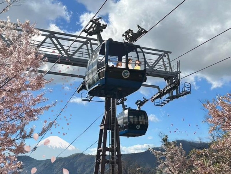 aerial-stroll-in-the-gondola-without-window-glass-a-new-experience-that-gives-you-a-feel-for-the-wind-and-nature-of-hakone-begins-operation-from-march-10th-hakone-town-kanagawa-prefecture-1740534565.jpg