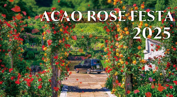 in-spring-atami-is-dyed-with-roses-the-acao-rose-festa-2025-is-now-underway-with-600-species-and-4000-plants-in-full-bloom-1746603494.jpg
